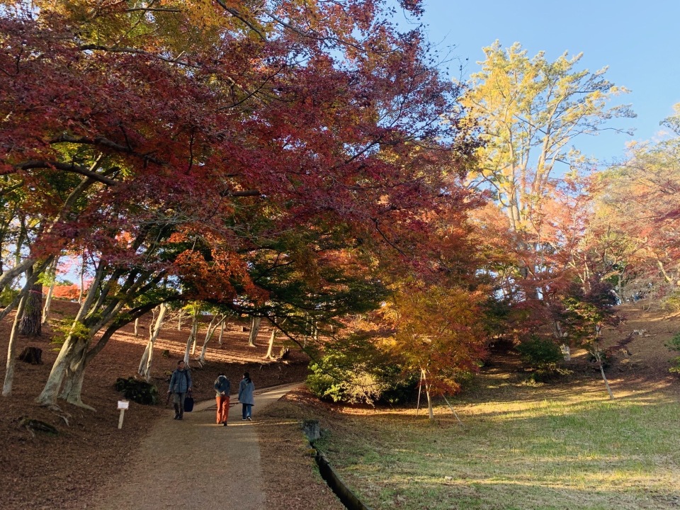 Shuzenji Nature Park Travel Guidebook Must Visit Attractions In Izu Shuzenji Nature Park Nearby Recommendation Trip Com