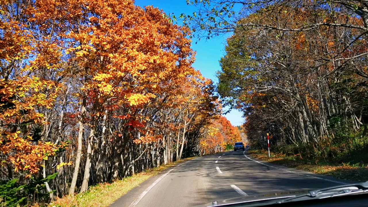 深秋，来跟着我们自驾，一起横穿，世界自然遗产“ 知床半岛·北海道  ”！