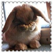 请叫我程老太太