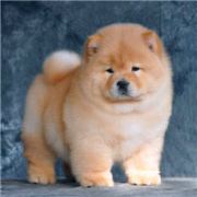 请在成年人指导下追哥