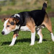 走遍天下看世界