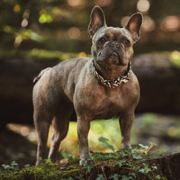 怎么睡也睡不醒