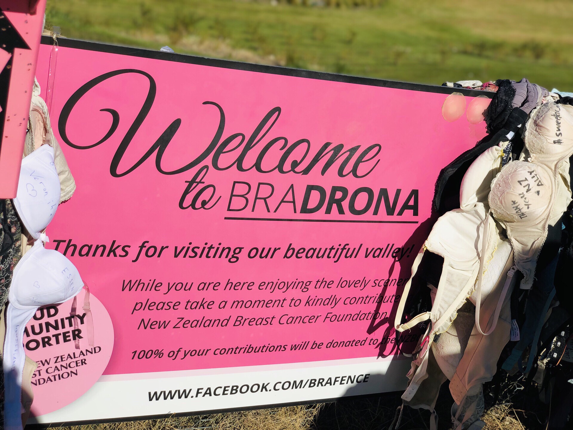 从皇后镇到瓦纳卡的途中有一个挂满了内衣的篱笆Bradrona，Bradrona存在的意义让人们提高对