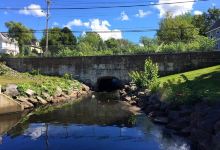 Wentworth Park景点图片