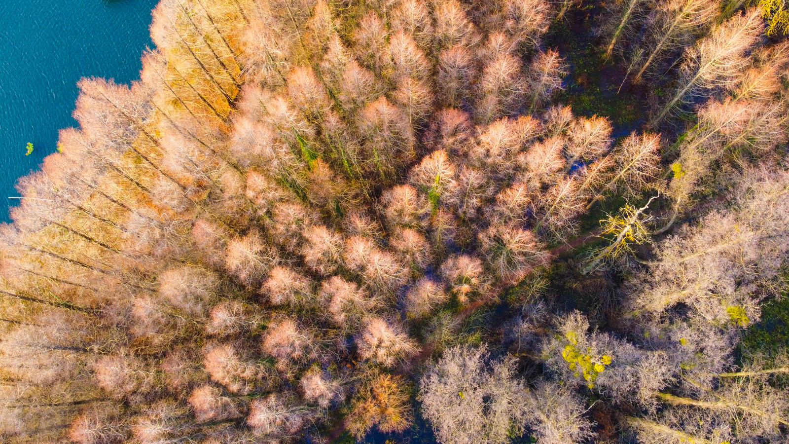 匈牙利冬日的温泉之旅 匈牙利赫维兹温泉城是欧洲最著名的温泉小城、世界唯一的天然温泉湖，也是世界认可的