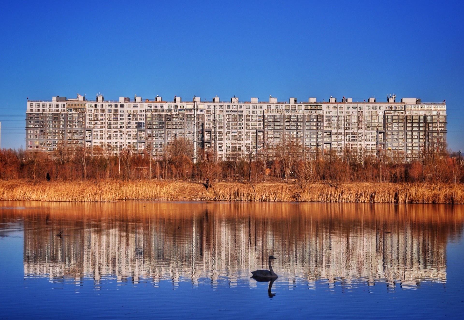 汾河湿地公园