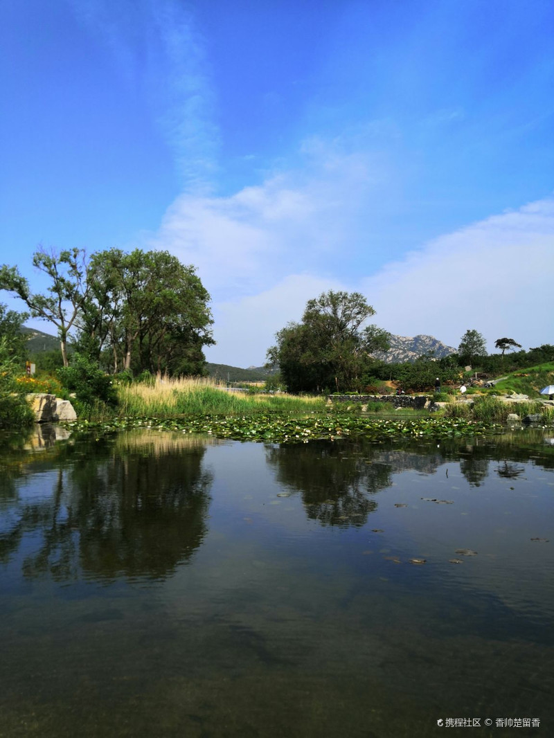 美丽的张村河公园