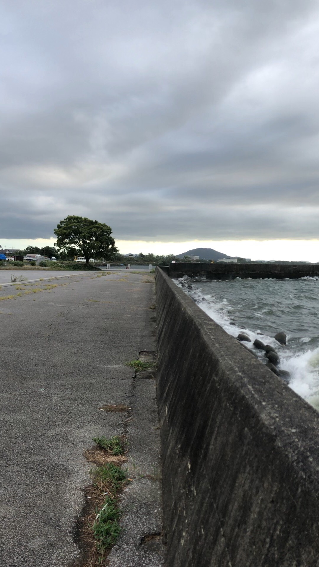 估计没有几个游客会来的琵琶湖畔．风云际会扑面来。