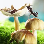 静候轮徊与子偕老