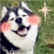 我用汗水谱写着心酸