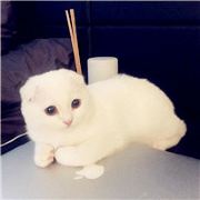 阳光洒在我床头