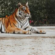 其实我们未曾长大