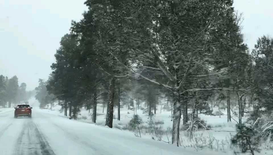 雪地开车稳如狗， 最嗨没见红绿灯!