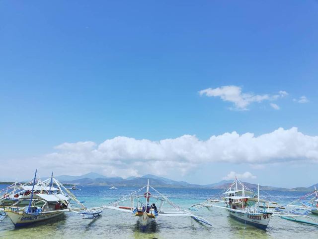 巴拉望海星岛攻略,巴拉望海星岛门票/游玩攻略/地址