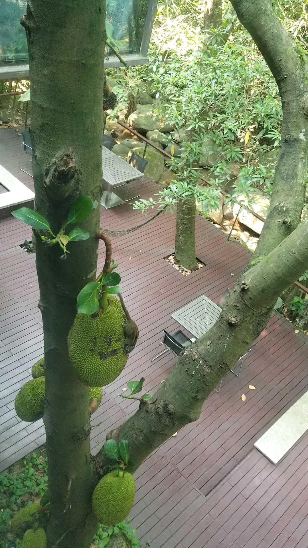 还是室内好，不用怕咬，还能和小松鼠共进早餐