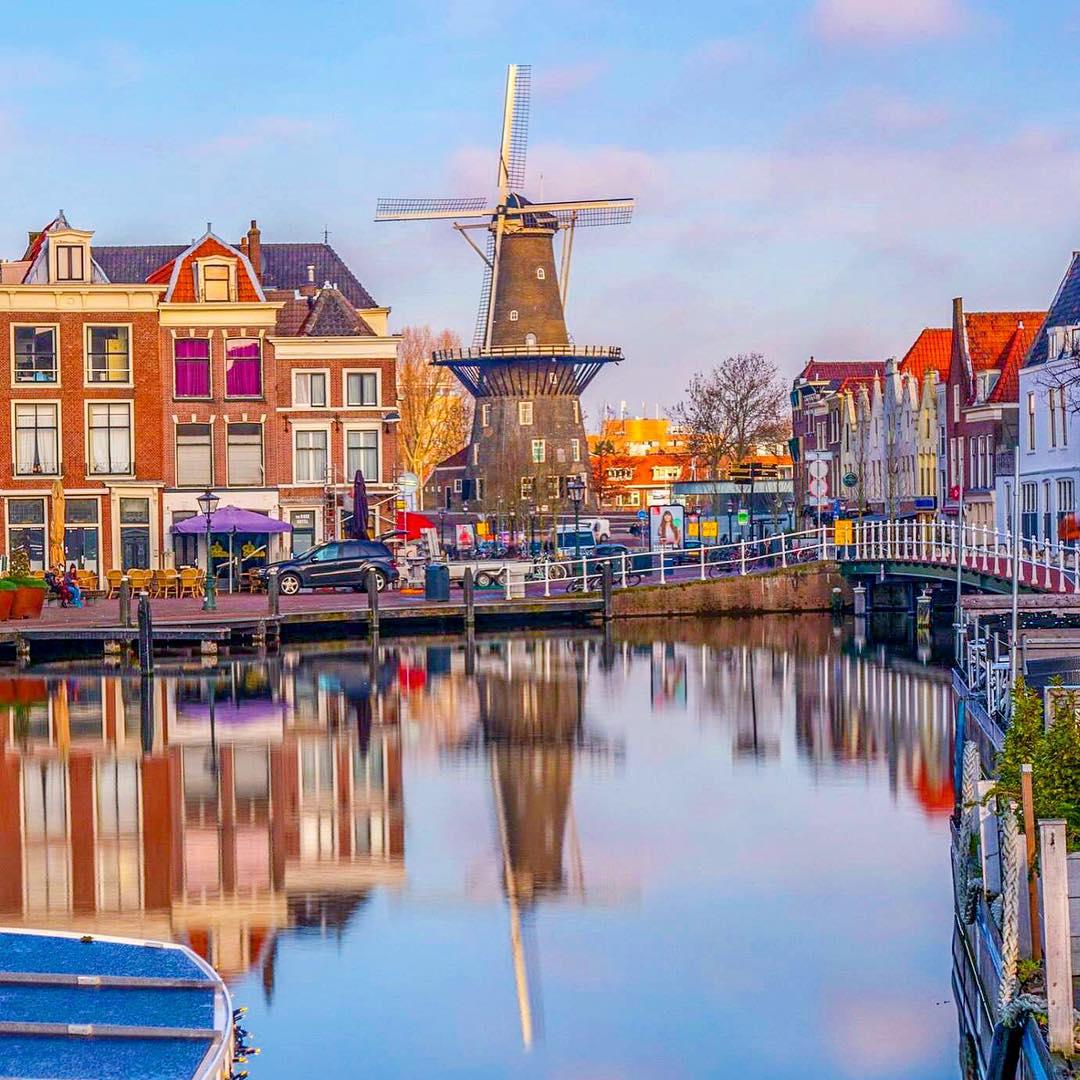 ♡美丽的郁金香，美丽的旋转风车♡  一提到荷兰，我想起的就是郁金香和风车啦！这两个东西共同构建了我心