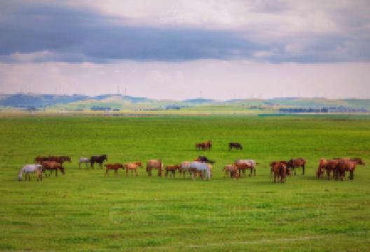 闪电湖京北湿地草原景点图片