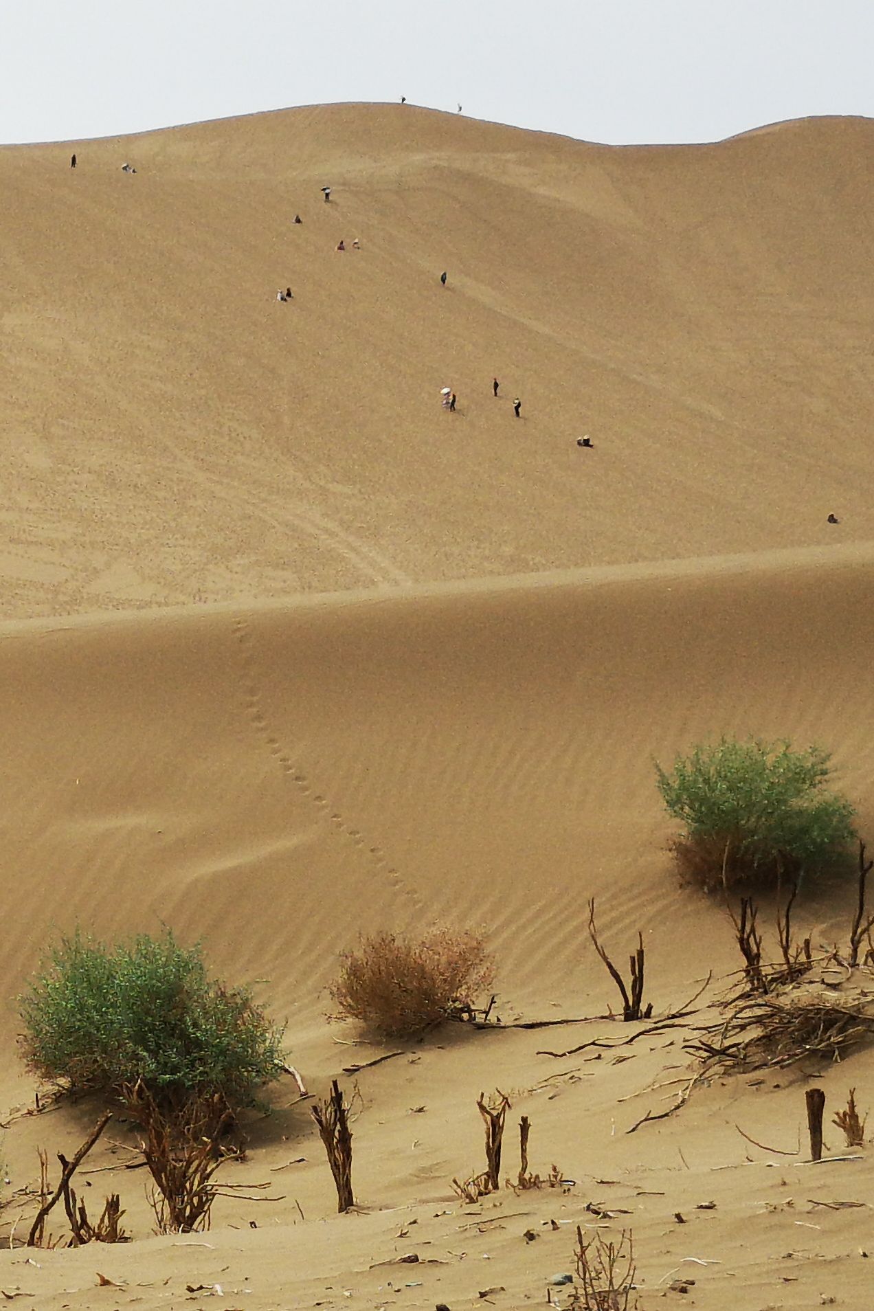 中国最大的沙漠公园：鄯善库木塔格沙漠