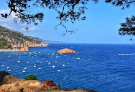 Castillo de Tossa de Mar景点图片