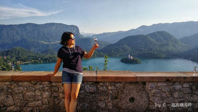 Bled Castle (Blejski Grad)