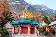 崂山风景区-青岛-添喜lucklily