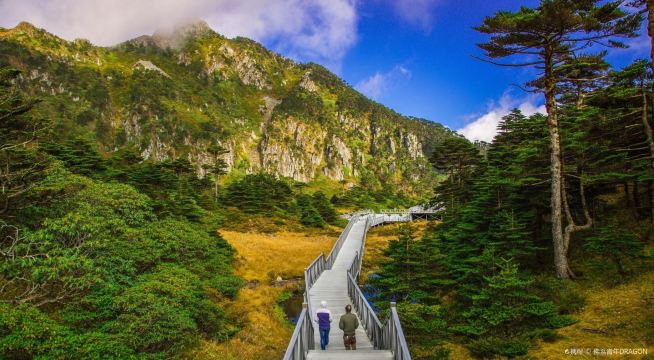 苍山