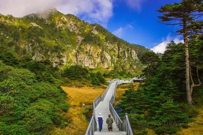 苍山