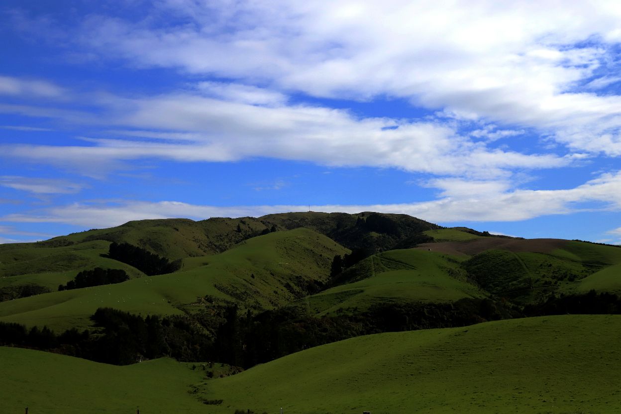自驾新西兰-行车途中：10月13日吃罢早饭后，就从奧马鲁驱车前往特卡波湖，沿途风景非常优美，起伏的山