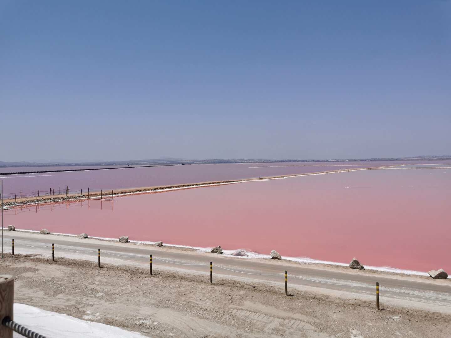 粉红色盐湖