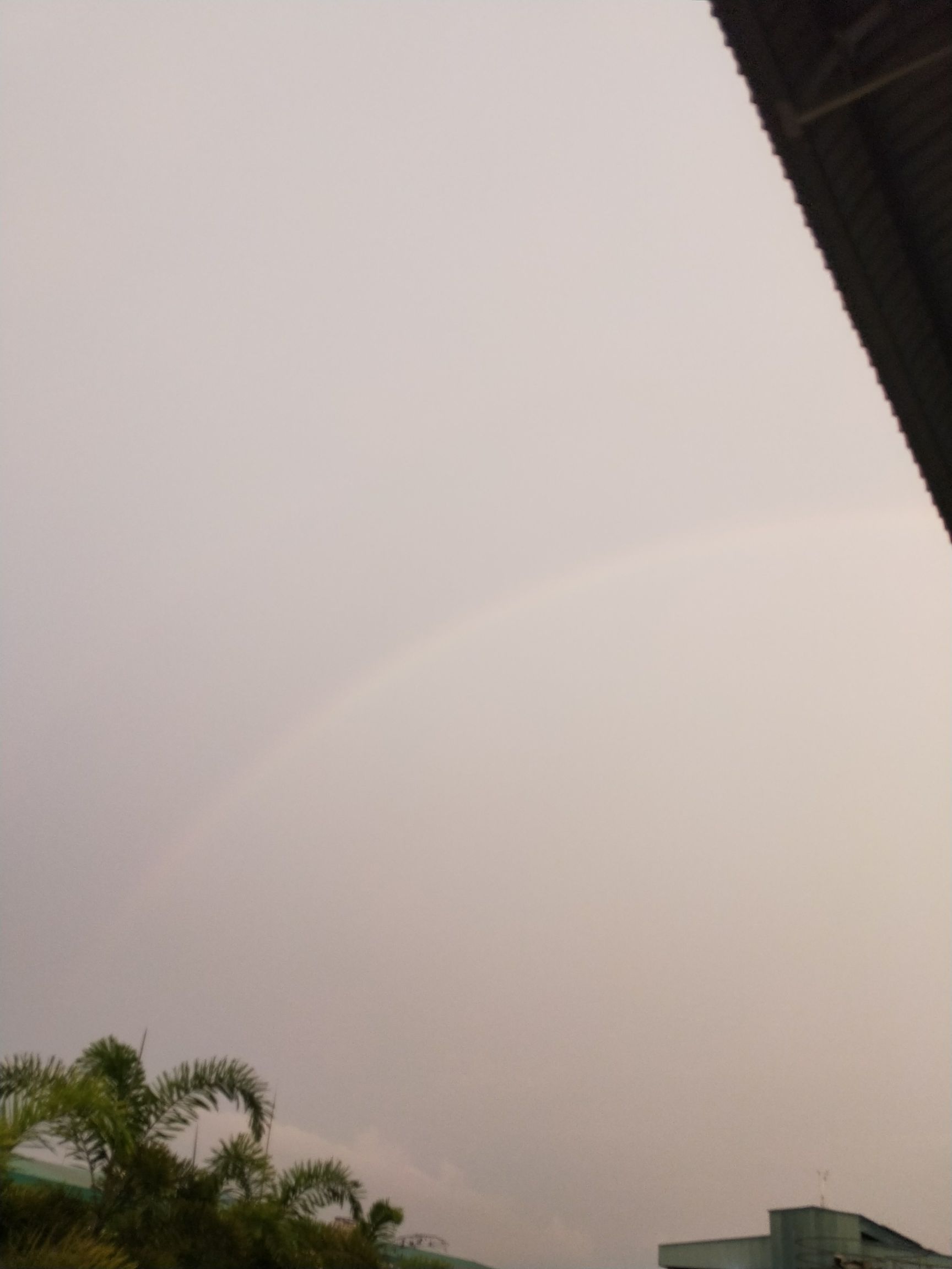 雨中彩虹