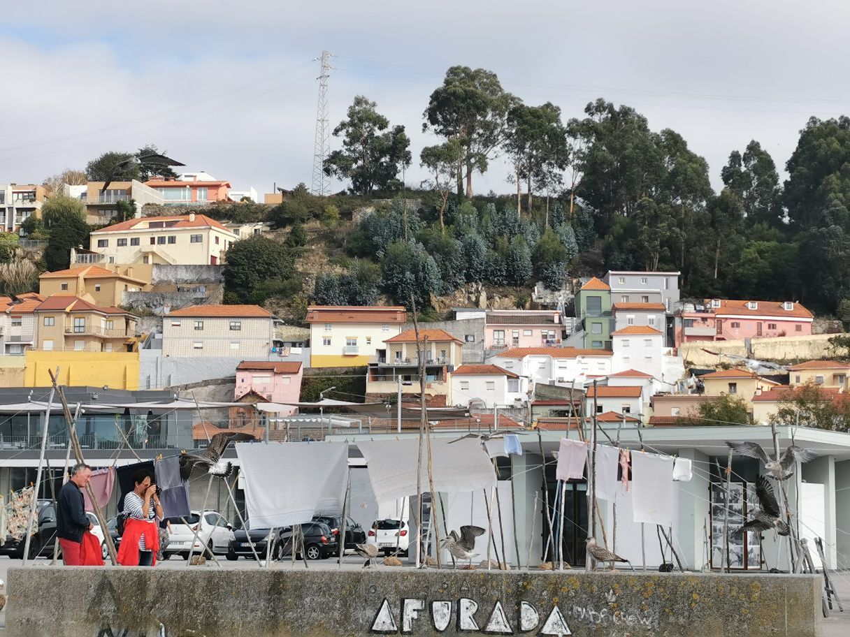 葡萄牙加亚新城 ：钓漁码头 Fishing Dock Afurada / Sao Pedro da 