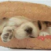 从来都有正能量