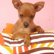 尐藍藍藍藍藍藍