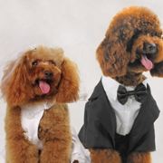 十字路口的宝丁