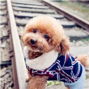 随便取个名儿字