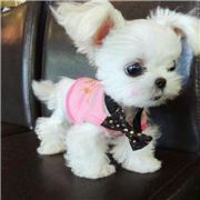 谋少的一些事一些情