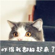 随风飘零一一一