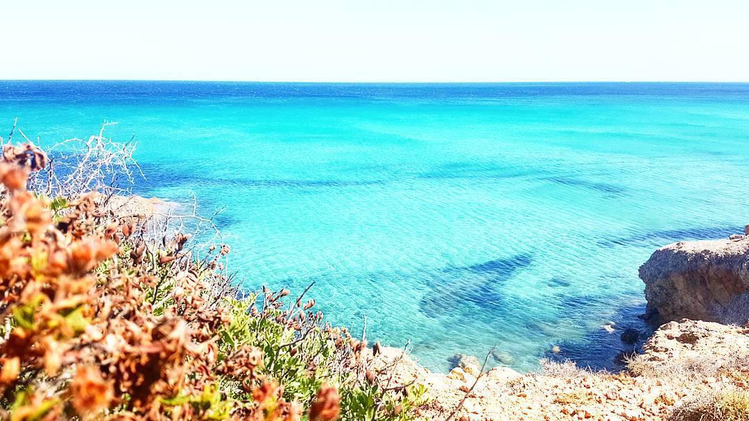 最美的城镇，在这里享受海岸潜水美食   松树村是我和闺蜜在这么多个意大利小镇中最喜爱的，松树村是海滩