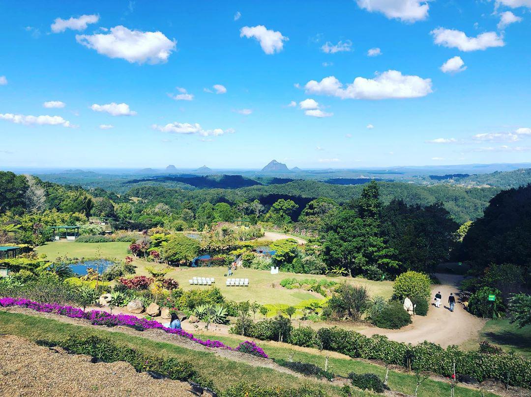 植物园内的绿意，徒步Maleny Botanic Gardens  Maleny Botanic G