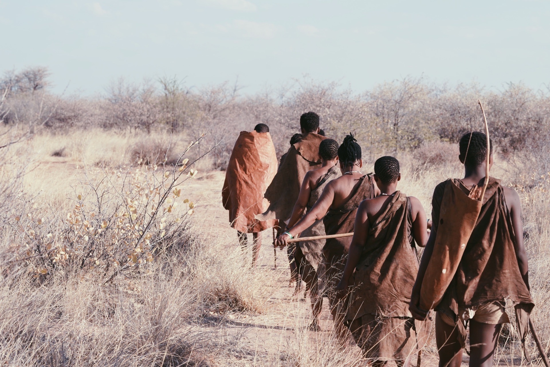 在博茨瓦纳的布须曼人，现在还有很多，他们过着原始的生活。靠打猎为生，但是他们有自己的语言，也会挖挖草