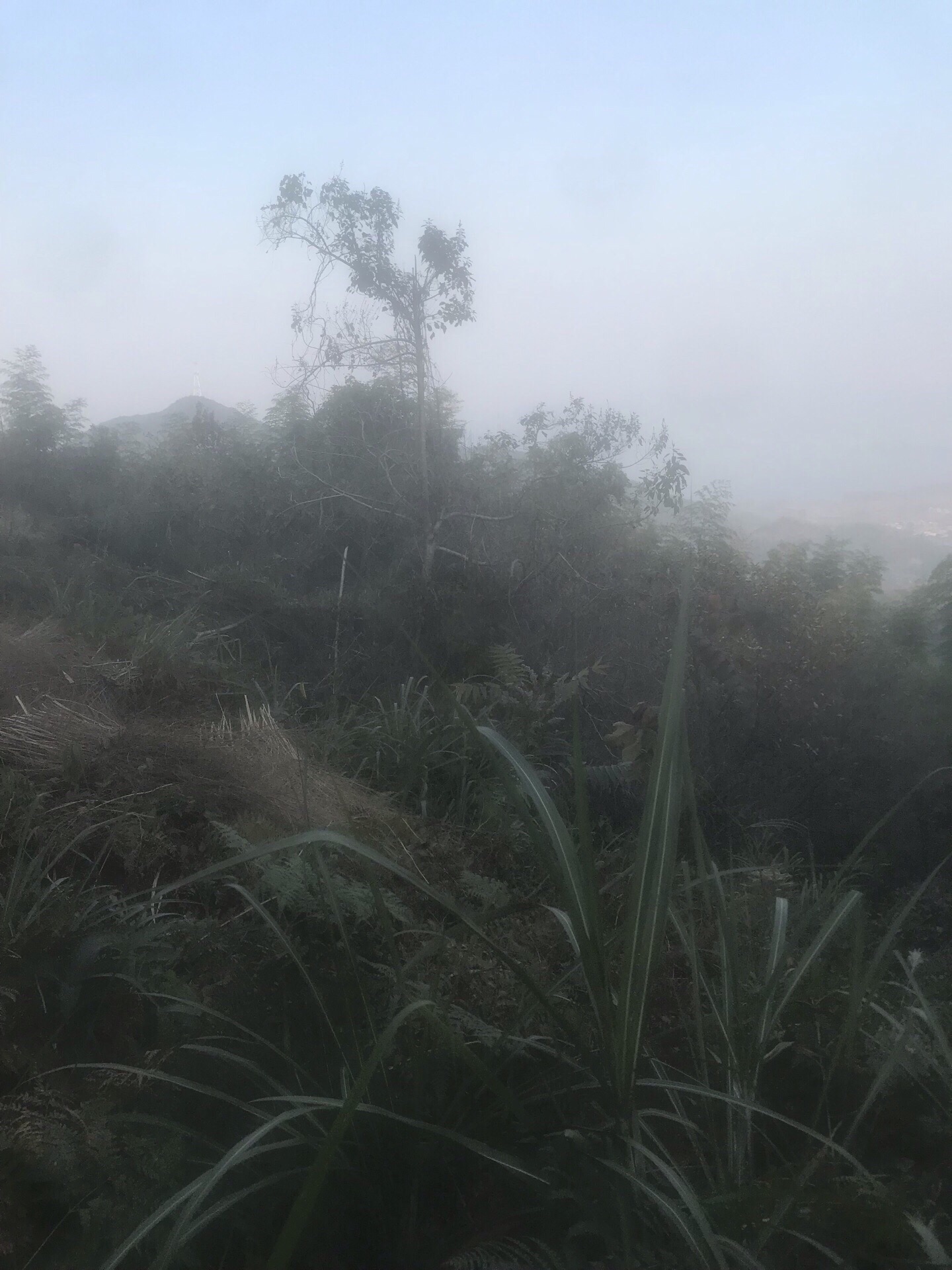 余姚四明山腹地！绿水青山隐隐于大山之中……