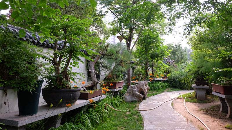 郑州紫金山公园，其间；乔、灌、花、草搭配栽植，构造出大面积的树林、草地园林景观，全园现有树种120个