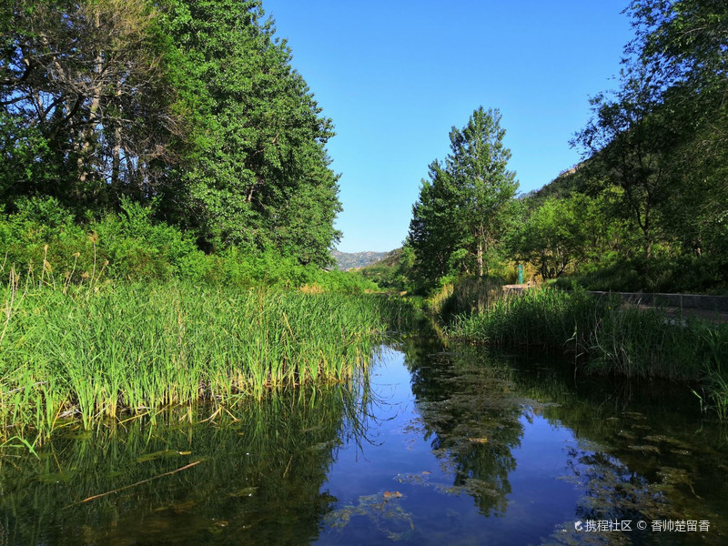 美丽的张村河公园