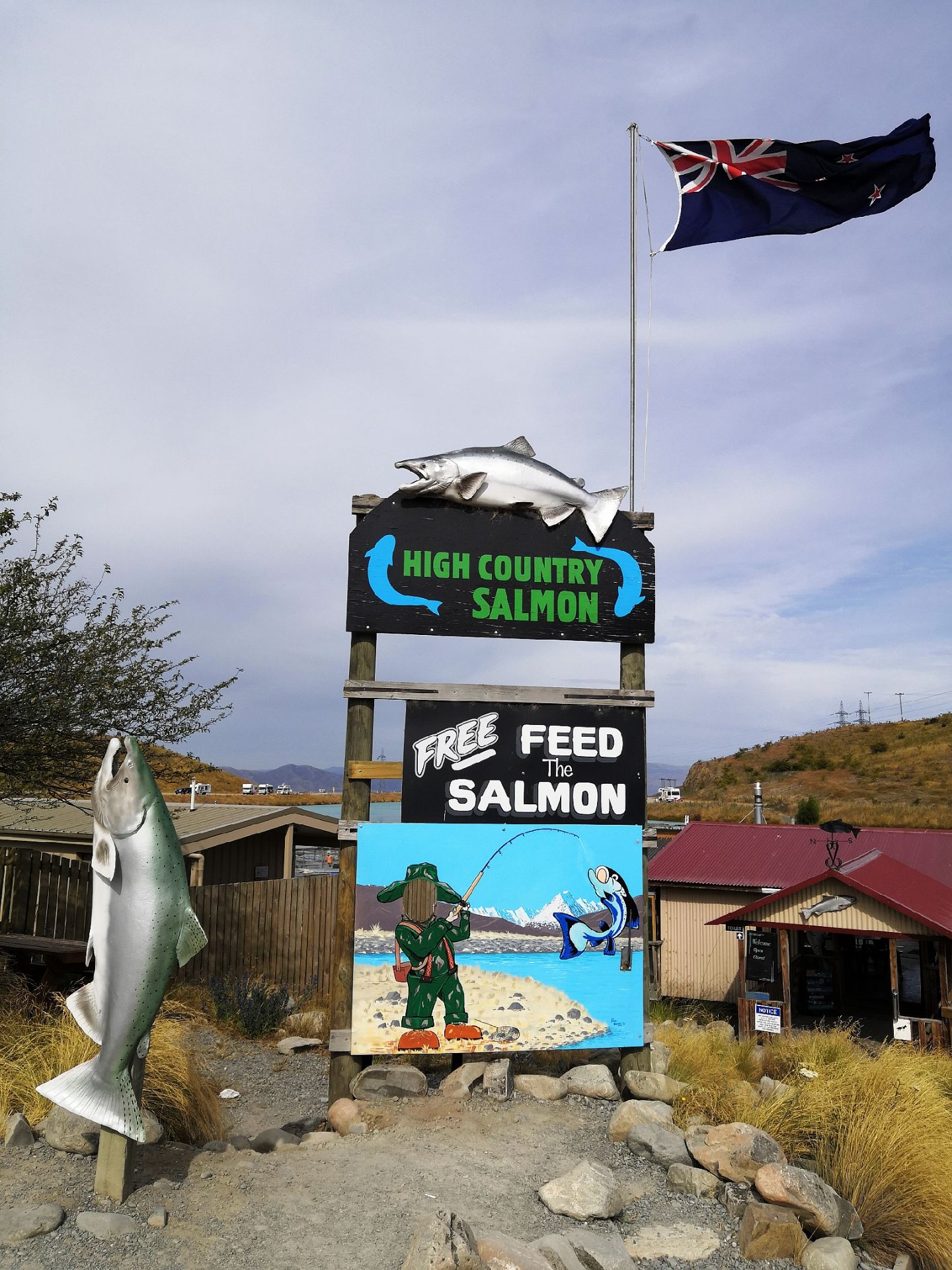 新西兰南岛小镇美丽的Lake Tekapo湖畔的库克山上，有一个世界上最高的淡水三文鱼养殖中心Mt 