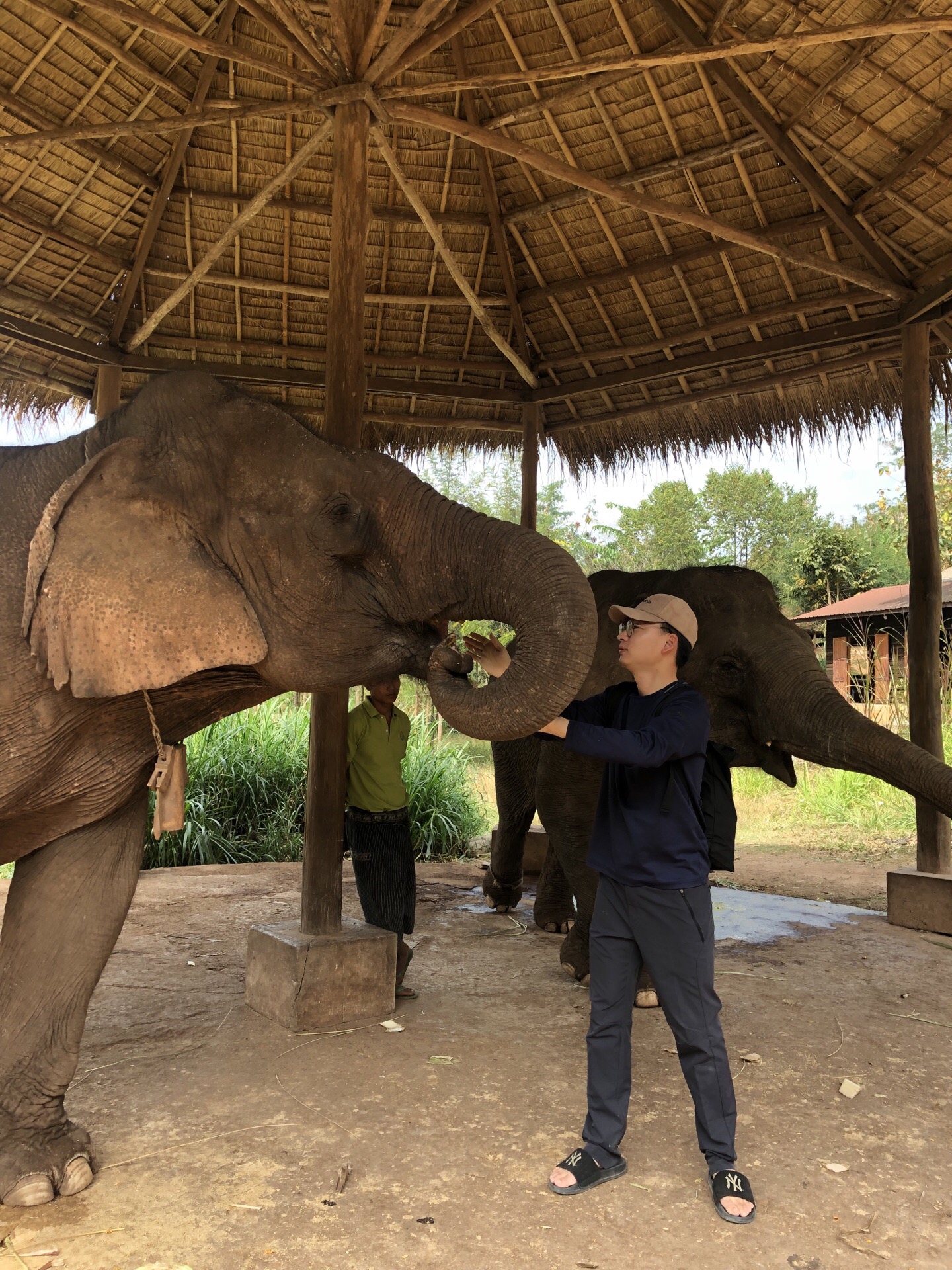 Green hill valley elephant care camp