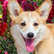 拥抱逝去的橘色