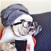 小明正找着小红