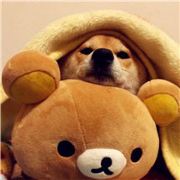 小莽子是一支花