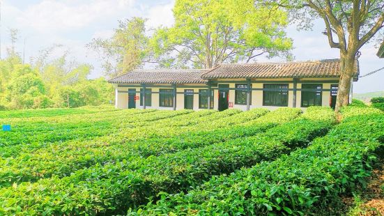 China Pu’er Tea Museum