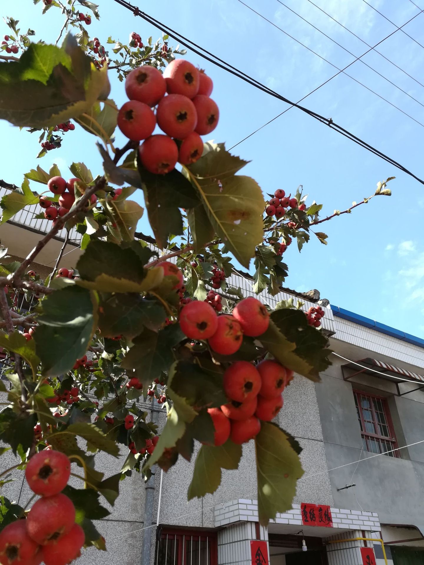 新时代游乐广场